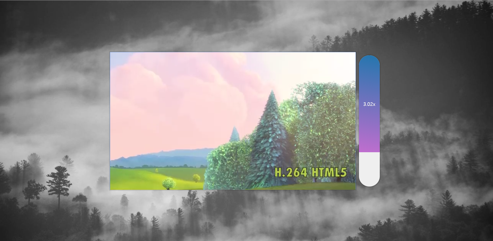 Video Speed Controller